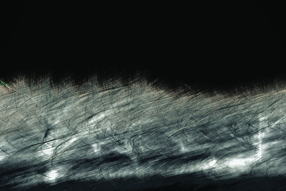 _E1A7309-inverse