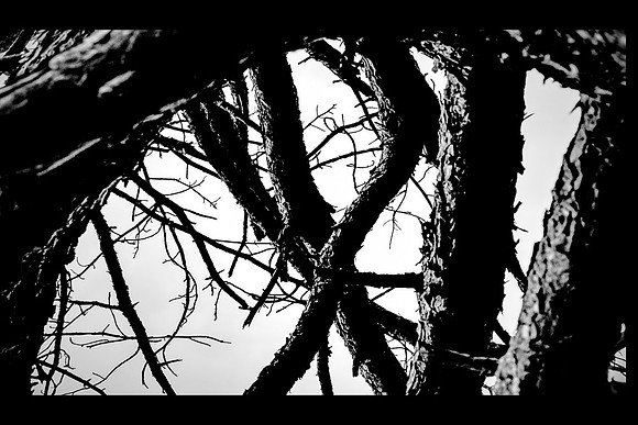 _E1A8547-Edit