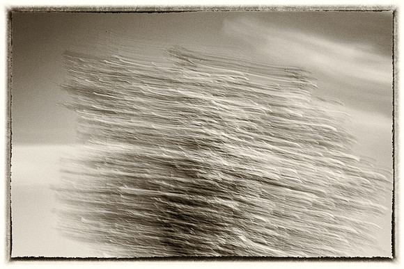 _E1A4726-Edit