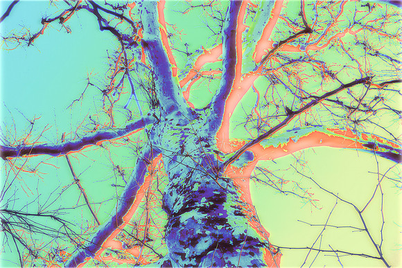 _E1A4583-Edit-gx