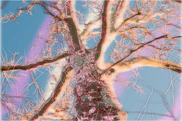 _E1A4583-Edit-h3000x