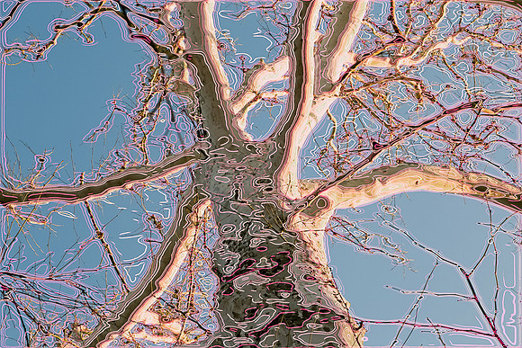 _E1A4583-Edit-xe3313