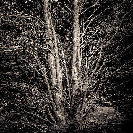 _0158167-PSedit