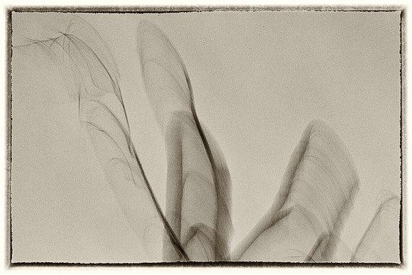 _E1A6055-Edit
