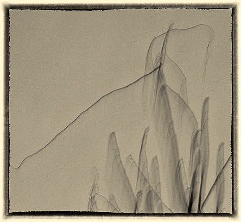 _E1A5964-Edit-2