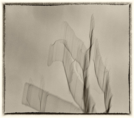 _E1A6084-Edit
