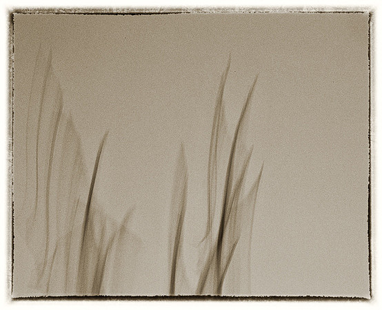 _E1A5606-Edit