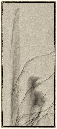 _E1A5964-Edit